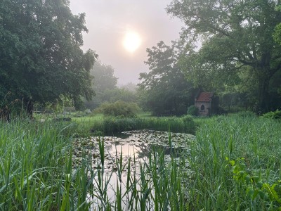 2021 06 viaintegralis02 1 Teich JJ