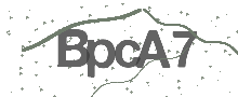 Captcha Bild