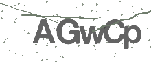 Captcha Bild
