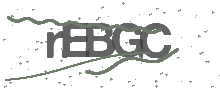 Captcha Bild
