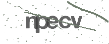 Captcha Bild