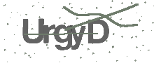 Captcha Bild