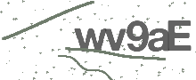 Captcha Bild